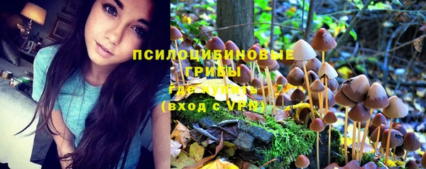 тгк Алексеевка