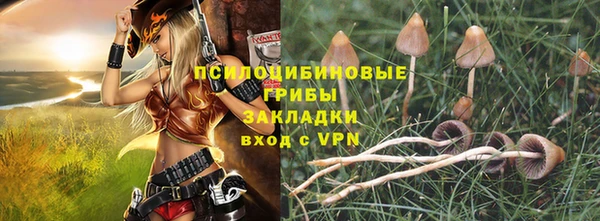 наркотики Алексин