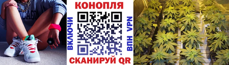 Каннабис конопля  ОМГ ОМГ рабочий сайт  Чадан  как найти закладки 